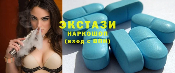гашик Алексин