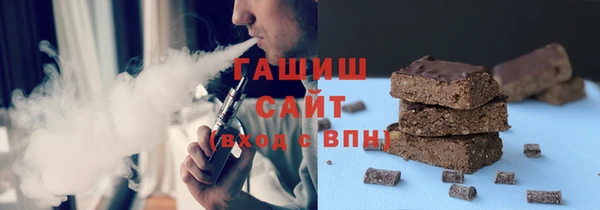 гашик Алексин