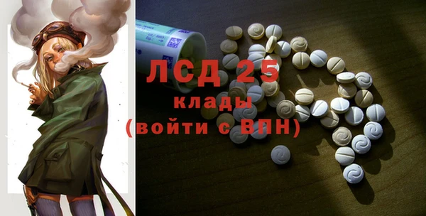 гашик Алексин